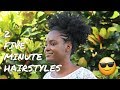 Two 5 Minute Natural Hairstyles to do on an old twist out!