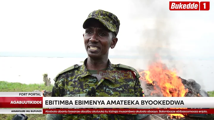 Agabuutikidde:   Aga wano na wali okuva mu bitundu eby'enjawulo Bookeezza obutinmba ku nnyanja