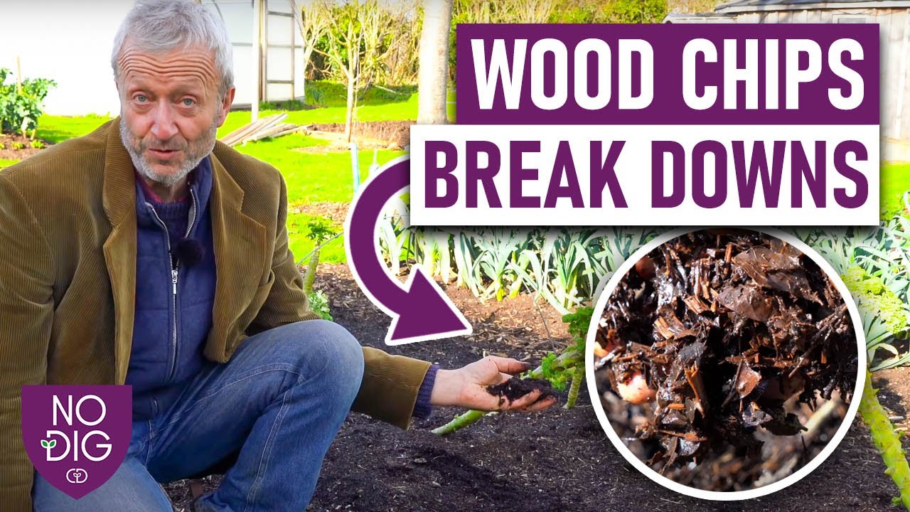 Why to make your own wood chips 