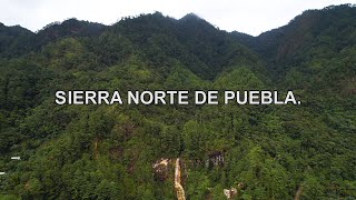 Puebla indómito || La ruta serrana de 50 km entre cascadas y bosques.