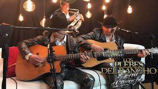 Los Plebes Del Rancho De Ariel Camacho #Proximamente