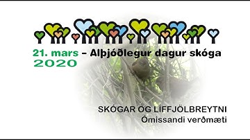Alþjóðlegur dagur skóga 2020