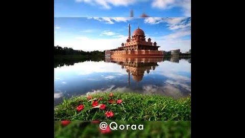 تلاوة عطرة بصوت الشيخ أبو بكر #الشاطري "٣"