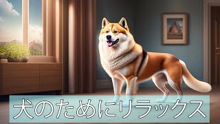 一人でいる犬のための音楽🐶家の中で愛犬をリラックスさせる方法 by 犬のリラックスタイム 15 views 11 months ago 2 hours, 5 minutes