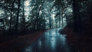 Nature Walk in Thunderstorm (4K) | Binaural Rain on Umbrella for Sleep & Study, ASMR