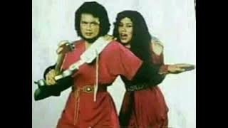 Bunga Syurga - Rhoma Irama & Rita Sugiarto