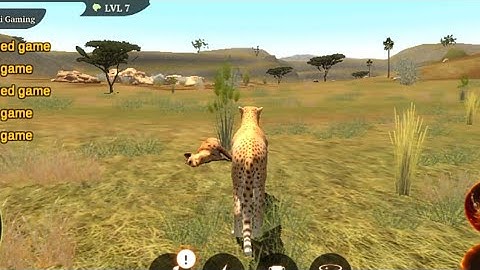 The Cheetah | gameplay walkthrough part 6 | Red Chilli Gaming | Android iOS