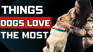 10 Things Dogs Love The Most