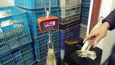 500kg crane scale calibration
