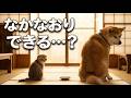 【秋田犬と子猫】大好きだから、ケンカもした｜ゲンとモカ 第9話「さいごのひとくち」