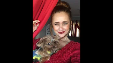 O que fazer quando o cachorro está com cólica?