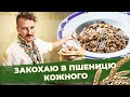 Неочікувано про ПШЕНИЦЮ 👀 ЗАЯВА від Євгена Клопотенка