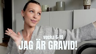 JAG ÄR GRAVID! vecka 6-19