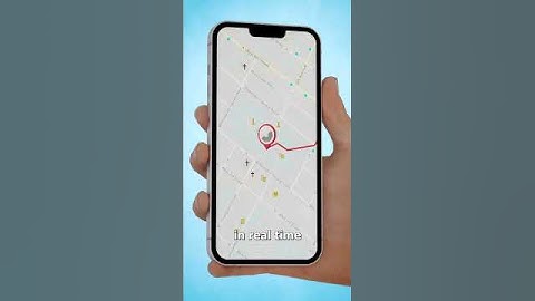 Can AirTags Track Whales? 🤔