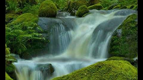 سورة النحل الشيخ القاسم واحمد الحذيفي AL-QRAN AL- KREEM AHMED AL-HOTHEFE SOURT AL-NAHAL