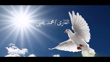 ايات من سورة القيامة  القارى/محمد يحيى