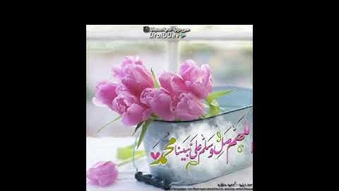 قران كريم سورة المائده بصوت الشيخ ماهر المعيقلى تلاوة مبكية quran sorat el-ma'aida maher el-ma3kly