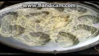 resep kue cubit sarang laba laba