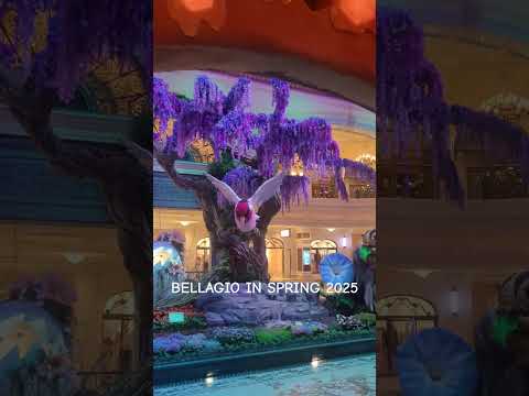 PlayOJO Casino & Bingo