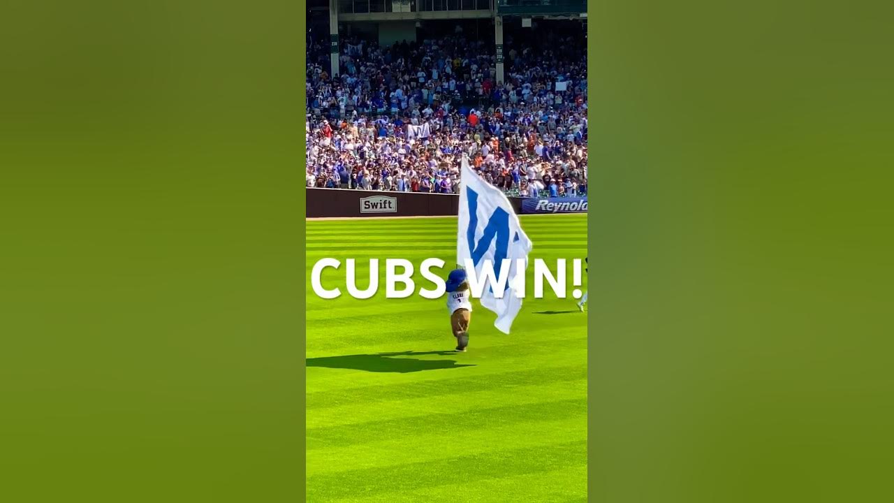 Cubs win! Cubs win! Go, Cubs, go! Bleacher seats! Labor Day, 2023
