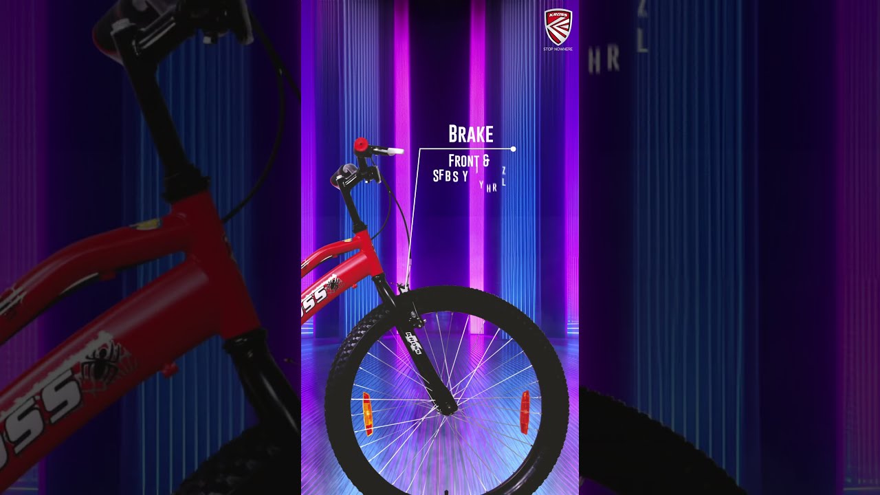 Kross Spider 24T