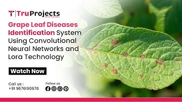 Grape Leaf Diseases Identification System Using Convolutional Neural Networks and LoRa Technology