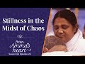 Stillness in the midst of chaos  from ammas heart  season 2 episode 26  ammas message