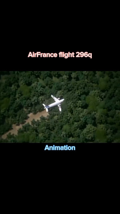 Plane crashes Animation vs Real life part 2 #planecrash #viral