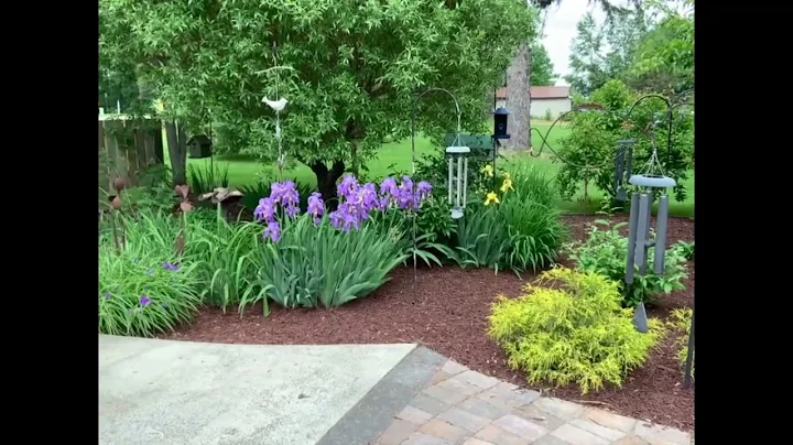 2022 Debra Hammer's Spring Garden