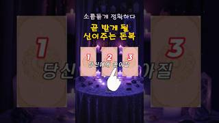 [타로]K-Shamanism Real Tarot #타로 #타로점#타로카드#재물운 #운세 #오늘의운세