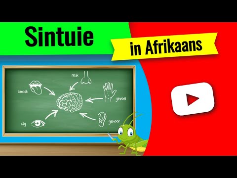 Video: Nie 'n Paartjie Nie: Tekens Van 'n Beginnende Verkoeling Van Die Sintuie