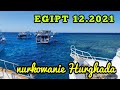 Egipt 12.2021 nurkowanie Hurghada