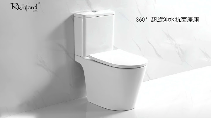 Richford 360度 單孔超旋抗菌座廁 - 天天要聞