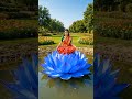 सूखे तालाब में खिले दिव्य फूलपार्वती और लक्ष्मी का चमत्कार 😲 #ShortsVideo #Trending