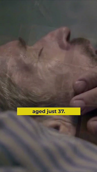 What Were Vincent van Gogh's Last Words?
