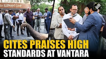 CITES highlights high standards at Vantara and strong Indian regulations