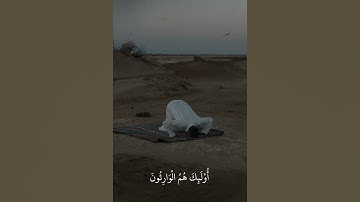 تلاوة عطرة من سورة المؤمنون بصوت الشيخ عبدالله الموسى ❤️