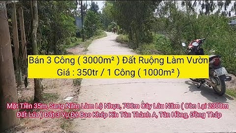 Bán 3 Công ( 3000m² ) Đất Ruộng Làm Vườn|Mặt Tiền 35m, Sang Năm Làm Lộ Nhựa,Đất 3 Vụ Đê Bao Khép Kín