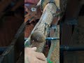 #woodworking #lifeisbutadream #wood