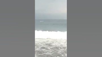 South Beach!detik detik terseret ombak  wisatawan pelabuhan ratu #viral #pantaiselatan #shorts