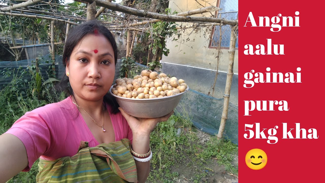 Angni Aalu gainai pura 5kg kha 😊🙏🏾