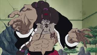 The Rokushiki Techniques Explained   One Piece 101