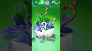 Letter Name Whatsapp Status Video