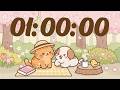 60 Minute Timer 🐱 1 Hr Study Timer for Classroom Focus