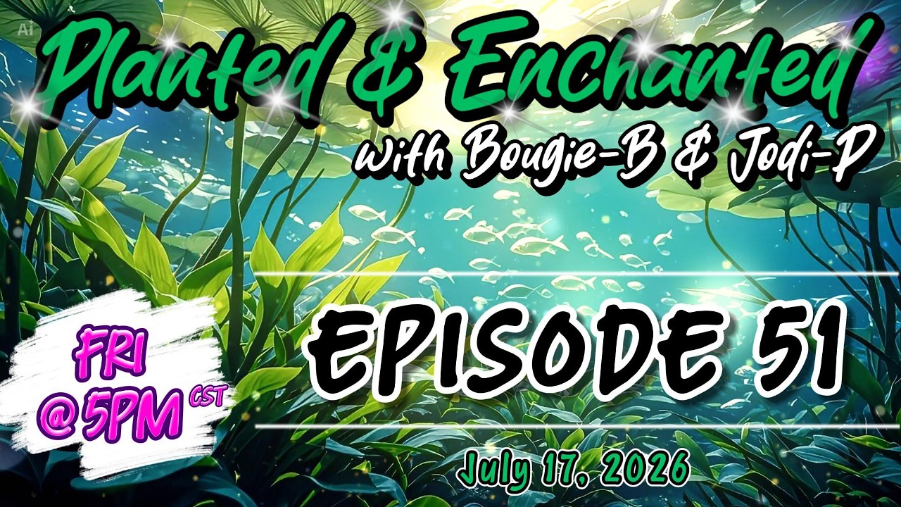 Planted & Enchanted with Bougie-B & Jodi-P - Episode 51