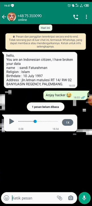 HACKER BJORKA || hack WhatsApp