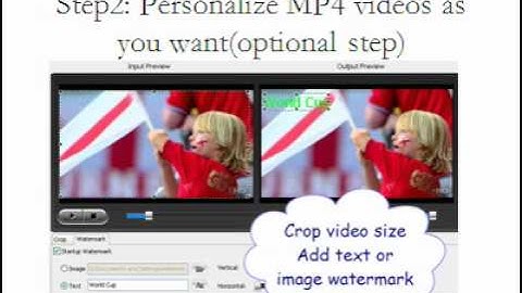 How to Convert MP4 to FLV for Sharing Video?