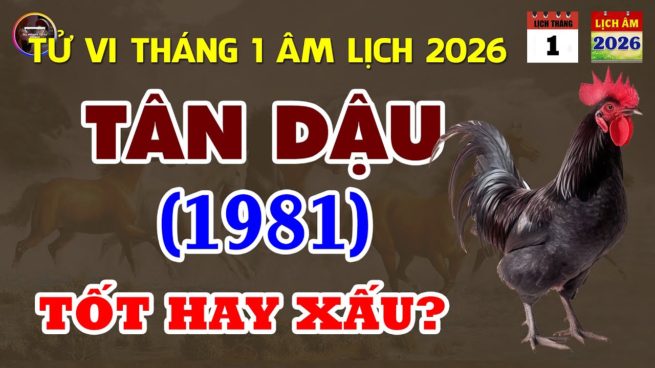 Tử Vi Tuổi Tân Dậu 1981: Trong Tháng Giêng Âm Lịch Năm 2026 Sẽ Như Thế Nào?