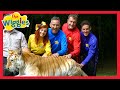 The Wiggles: Animal Songs 🐶 Old MacDonald | Baa Baa Black Sheep | Nursery Rhymes for Kids 🐱