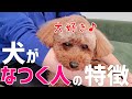 【必見】実はこんな人が犬に懐かれる特徴を持ってます！
